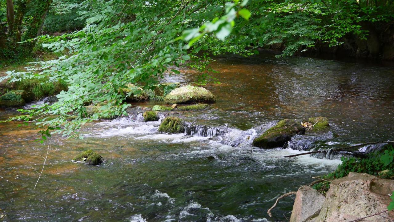 Les Chalets Du Moulin De Valade Condat-sur-Trincou Eksteriør bilde